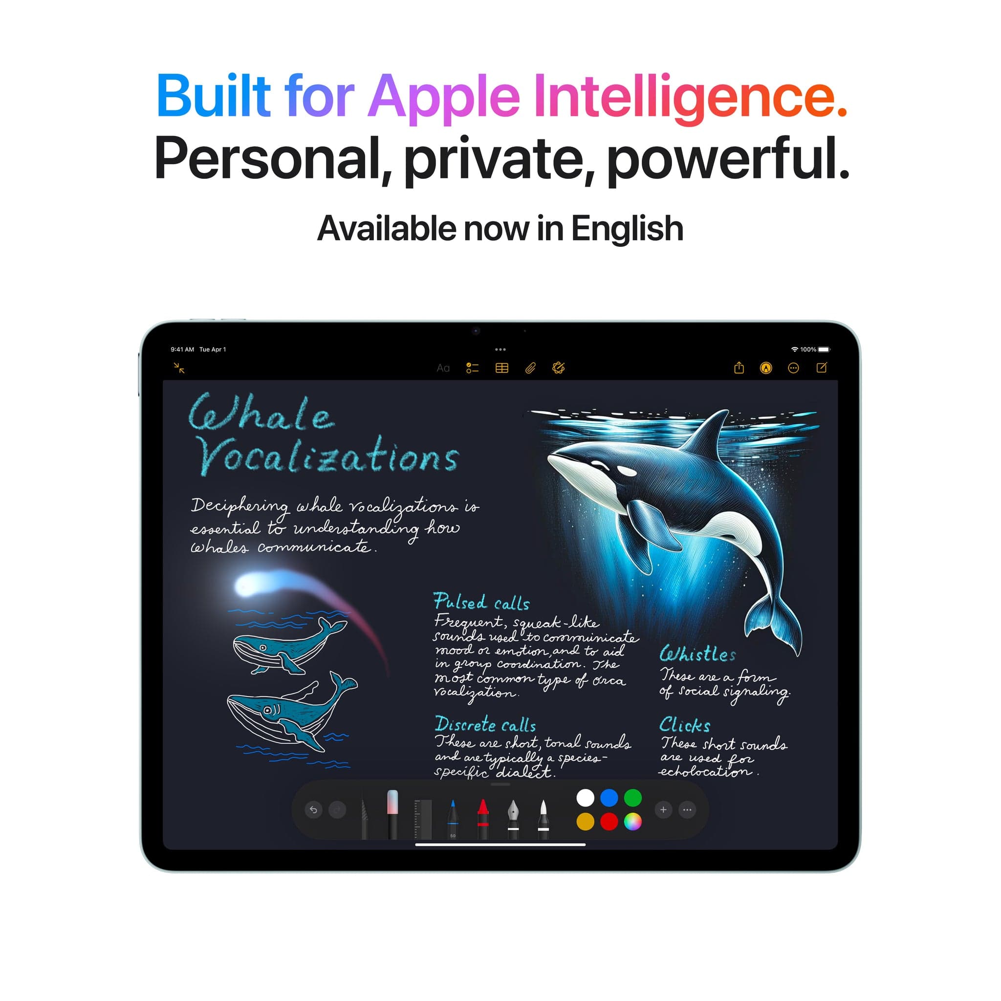 13-inch iPad Air Wi-Fi 256GB - Blue M3